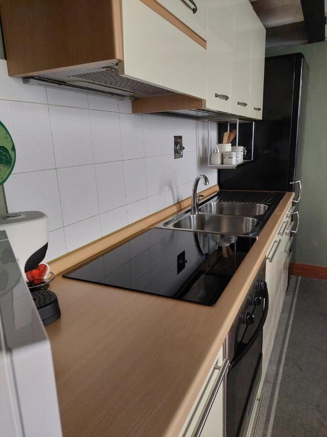 Green Pepper Apartment In 佛罗伦萨 外观 照片